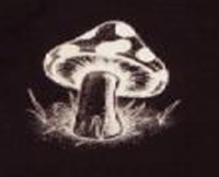 mushroom t shirt